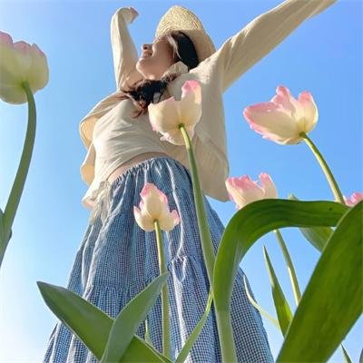 特洛伊艾迪