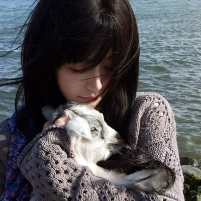 惑星公主蜥蜴骑士